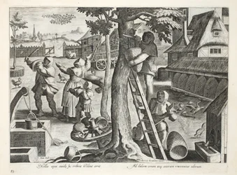 Apicultores, lámina 83, ilustración de 